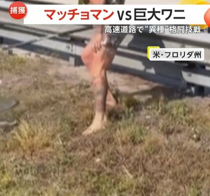 「番狂わせだな！」高速道路でマッチョマンvs巨大ワニの“異種”格闘技戦…「ウマ」乗りに「ラクダ」固めで「ワニ」に勝利　アメリカ
