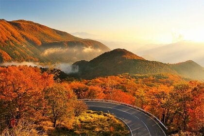 一度は行ってみたい紅葉の名所ランキング! ~1位に輝いたのは栃木県の名所! 阪急交通社が公開~