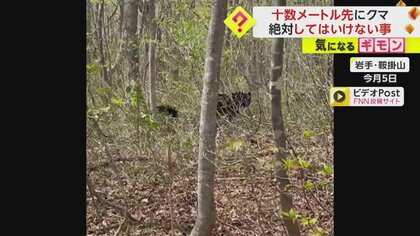 【絶対に走らないでください】クマは時速40km　人間が振り切るの無理　岩手・鞍掛山で登山客が至近距離で出くわす