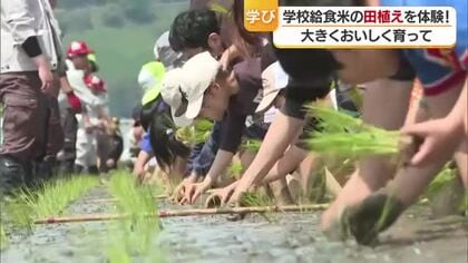 四国中央市で小学生が田植え体験 「大きく育って」 いずれは学校の給食米に【愛媛】