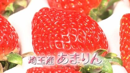 【注目】いちご選手権3連覇！大躍進の埼玉産イチゴ「あまりん」低迷時代から日本一への逆転物語　甘さを追求8年…糖度20度に！