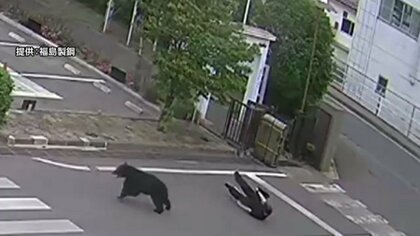【速報】男女4人襲ったクマ　居座っていた工場から逃げ出す　“緊急銃猟態勢”敷かれるなか…付近の小・中学校は臨時休校