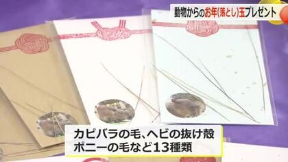 もらえたらラッキー？！貴重な動物の「お年（落とし）玉」を配布　抜け“落ちた”毛や羽など