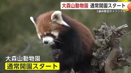 大森山動物園が通常営業スタート　3連休初日に家族連れでにぎわう　期間限定イベントも人気　秋田市