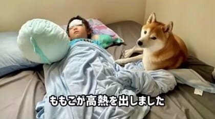 熱を出した5歳娘を柴犬のお兄ちゃんが添い寝で“看病”…心優しいベテラン