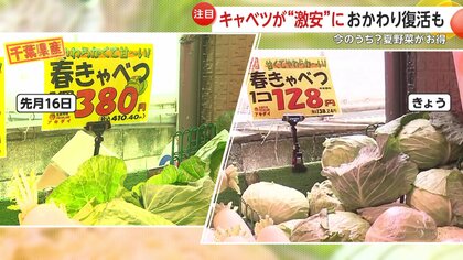 なすキャベツ様　オーダーページ なすキャベツ様 オーダーページ
