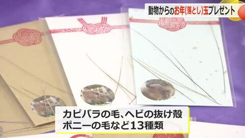 もらえたらラッキー？！貴重な動物の「お年（落とし）玉」を配布　抜け“落ちた”毛や羽など