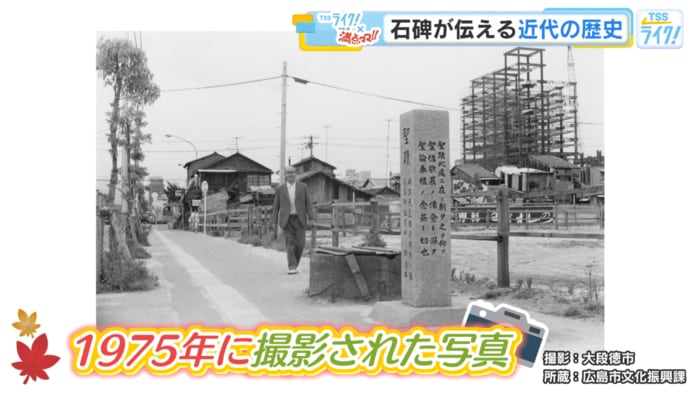 今回の写真