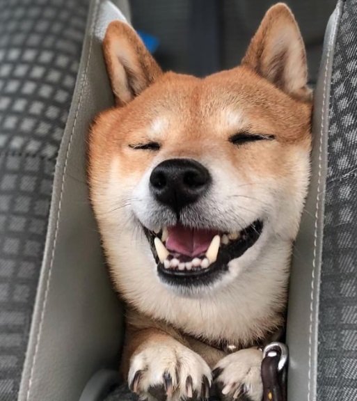 リラックスの笑顔!