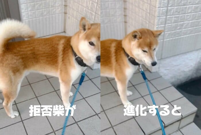 提供:556さん