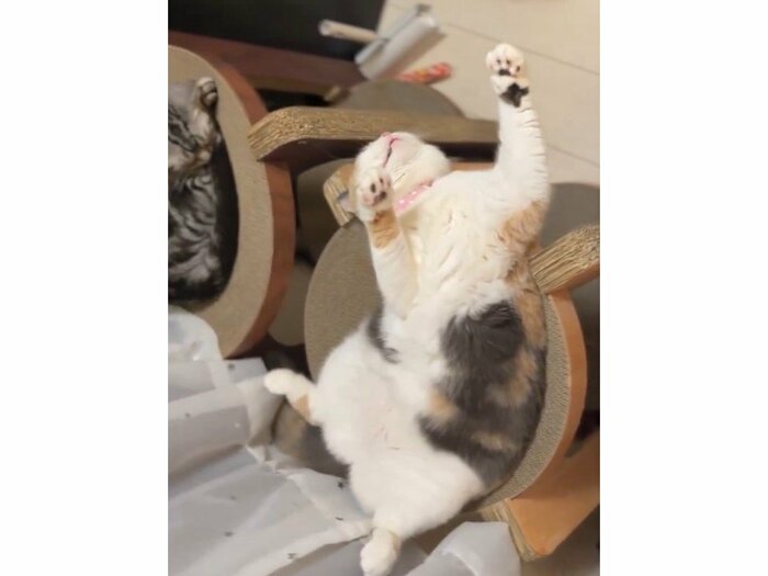 ヲタ芸!?
