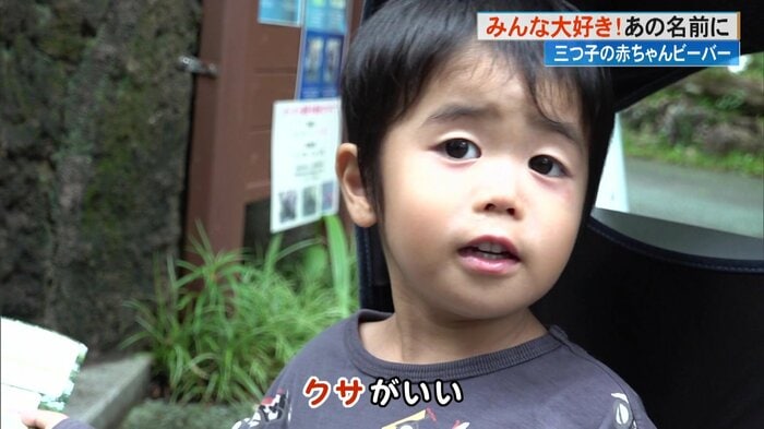 「名前つけたい!クサがいい!」と、ユニークな名前を提案する子どもも
