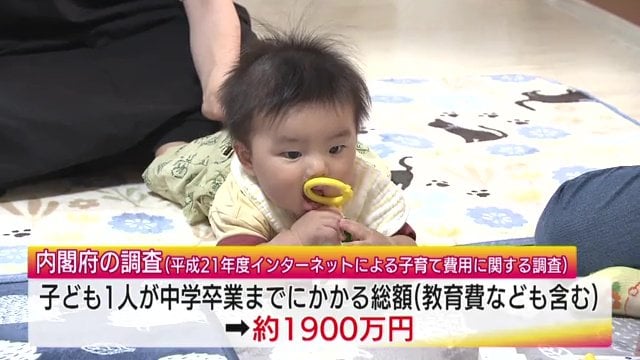 内閣府 平成21年度インターネットによる子育て費用に関する調査