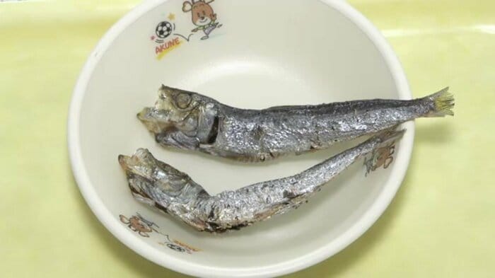 阿久根名産! マイワシの丸干し
