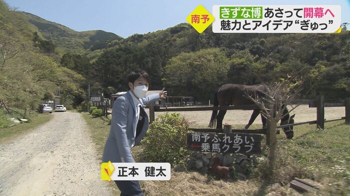 テレビ愛媛アナウンサー・正本健太