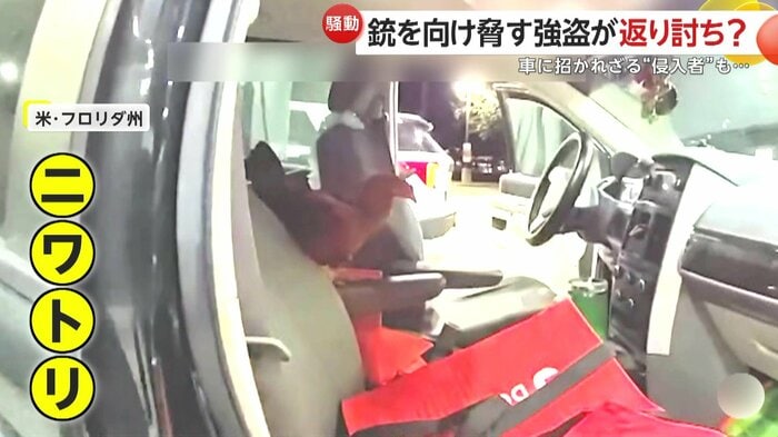 我が物顔で鎮座するニワトリ(Palm Bay Police Department)