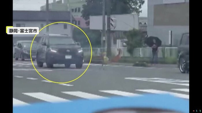 シカを避けるため急ブレーキをかけていた車(視聴者提供)