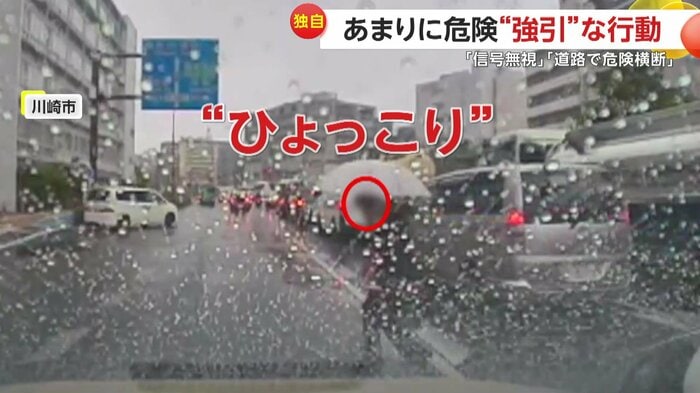 突然現れた傘をさす歩行者(提供:Poochi917)