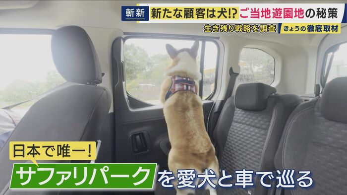 日本で唯一!愛犬とサファリパーク