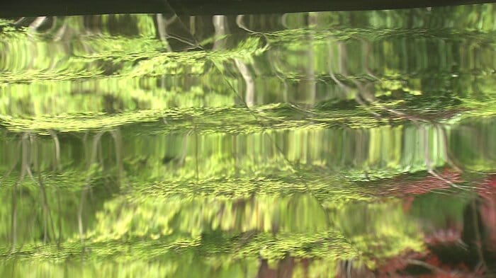 見る角度で変化を楽しめる