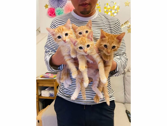 左:マッピーちゃん 中央上:ナッツちゃん 中央下:ミルクちゃん 右:じゃじゃ丸くん(提供:oimo210さん)