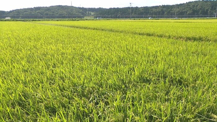新潟県村上市