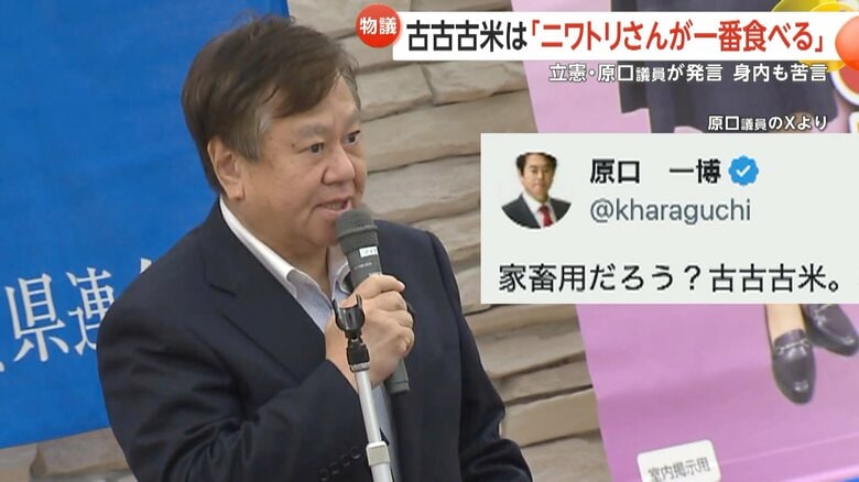 「ニワトリさんが一番食べる」立憲・原口議員の“古古古米発言”に身内からも苦言　米輸入に「舵切ったとは言っていない」野党追及に小泉農水相が否定｜FNNプライムオンライン