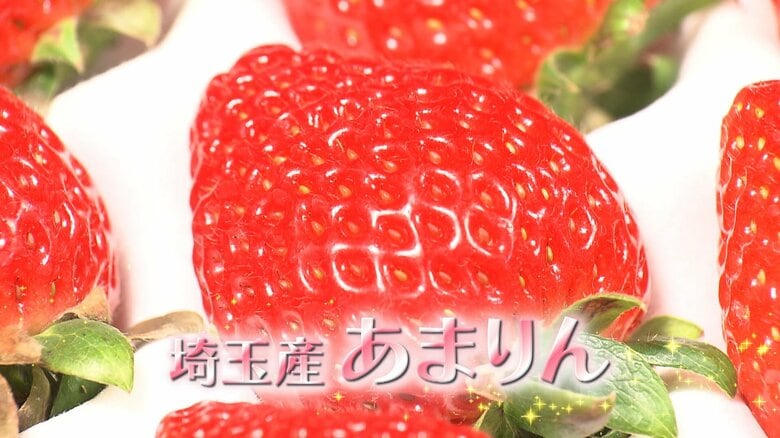 【注目】いちご選手権3連覇！大躍進の埼玉産イチゴ「あまりん」低迷時代から日本一への逆転物語　甘さを追求8年…糖度20度に！｜FNNプライムオンライン