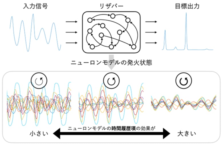 千葉工業大学・東京大学などの研究チーム、ニューロンの時間履歴項調整によるダイナミクスの最適化がエコーステートネットワーク性能向上の鍵