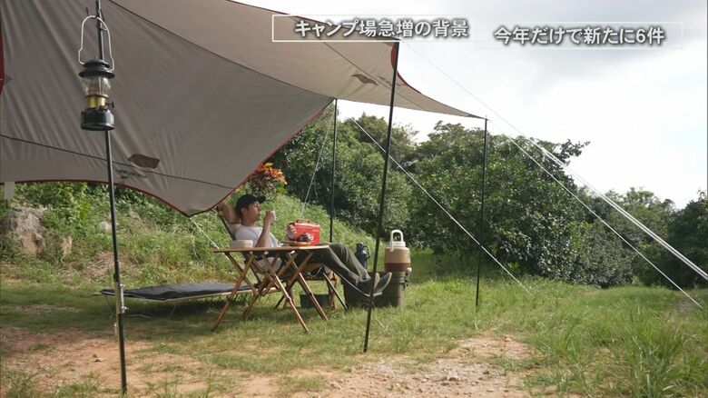 アジアン料理カフェが、シークヮーサー畑が絶景のキャンプ場に！ コロナ禍に沖縄でキャンプ場が急増する理由｜FNNプライムオンライン