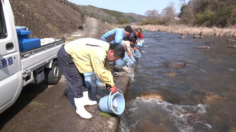 渓流釣り解禁を前に１５００匹のヤマメ放流　広島・江の川水系　布野川｜FNNプライムオンライン