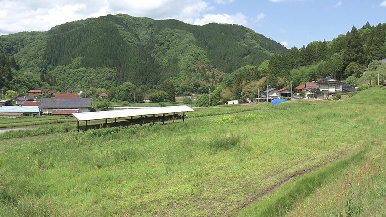 担い手不足と耕作放棄地解消へ 大阪と島根…都市と地方の新たな分業モデル「二拠点農業」 長年放置された田んぼに“新緑のベルベット”【島根発】|FNNプライムオンライン