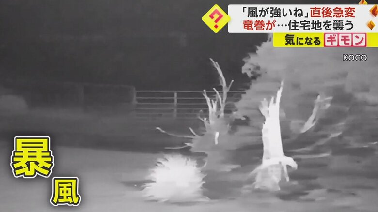 木はへし折れ…