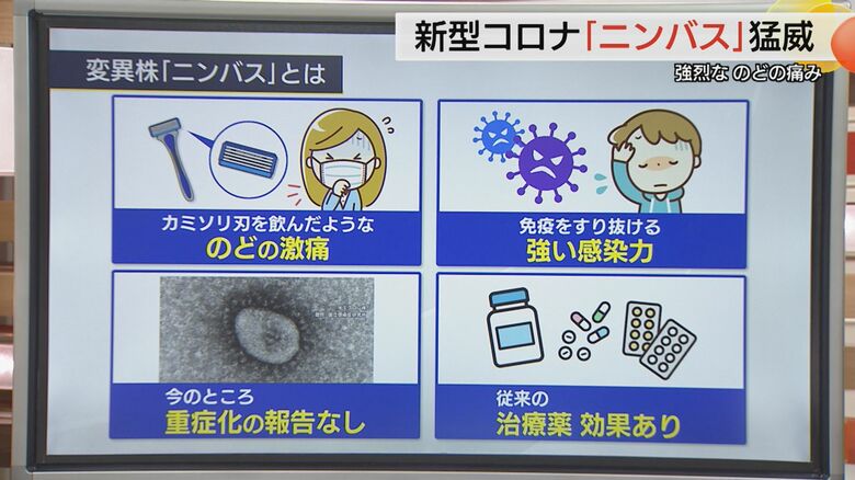 変異株「ニンバス」の特徴を知ること