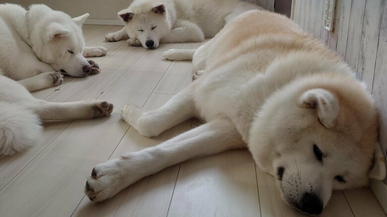 自宅に“落ちている”ことも