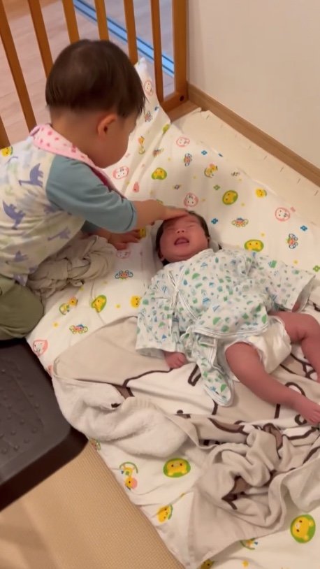 提供：＠zen_pokoさん