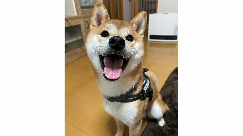 笑顔のいそべくん