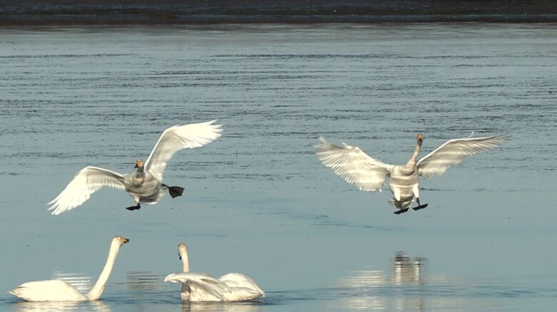 画像：イメージ