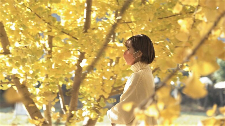 美しい景色を求め多くの人が訪れる