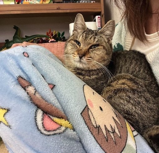 提供：ちびまるまろんさん