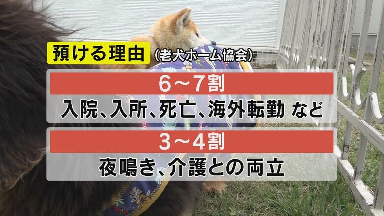愛犬を預ける理由（老犬ホーム協会より）