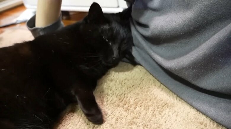 釣りのうらもっちゃんねるさんの腕枕