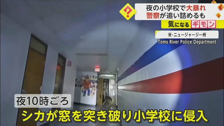 深夜の小学校を逃げ回るシカの様子⑤