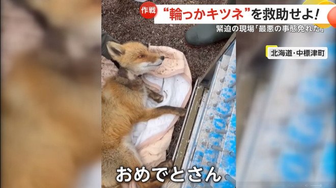 「ああ良かったですねー。おめでとさん。おめでとう」と話しかけていた和田さん