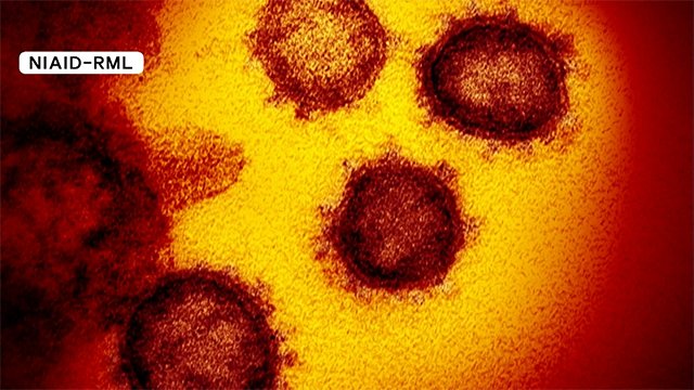 新型コロナ 県内で新たに3人感染確認【熊本】
