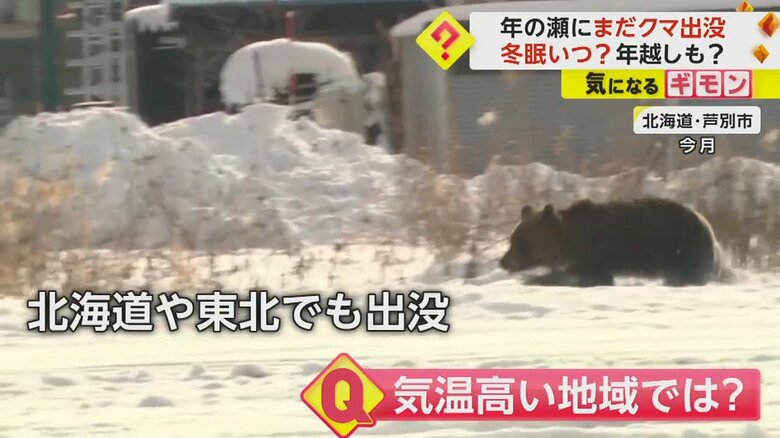 気温の低い北海道や東北でも出没が続いているクマ