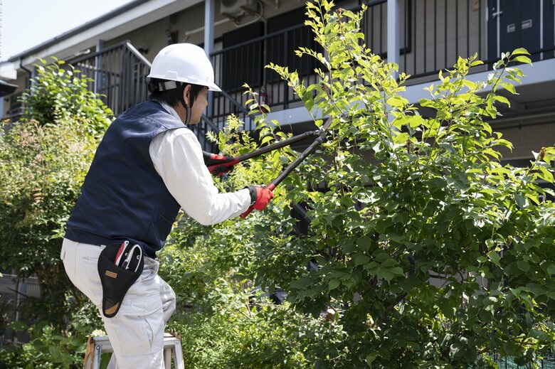 “手入れ”される植木（イメージ）