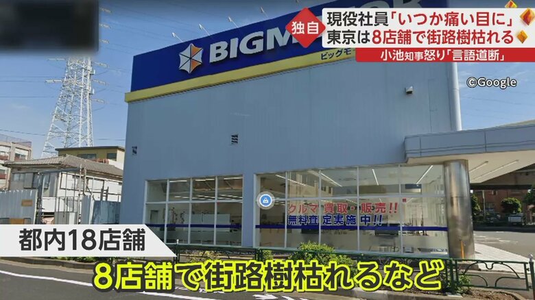 街路樹がなくなっていた...