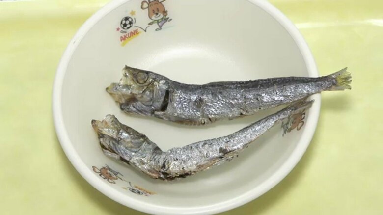 阿久根名産！ マイワシの丸干し