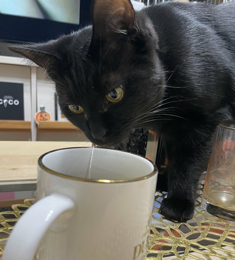 飲み物のにおいチェックは必ずする